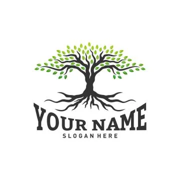 Colorful vibrant tree logo design concept vector. Root of Tree life logo desi Stock Illustration