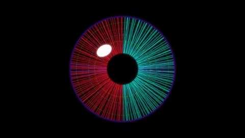 Colorful visual representation of an eye with lines and shapes Stock Footage 337064548