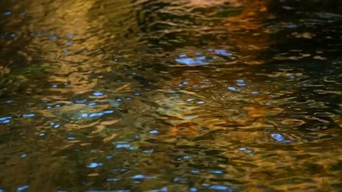 Colorful Water Background Stock Footage 81509257