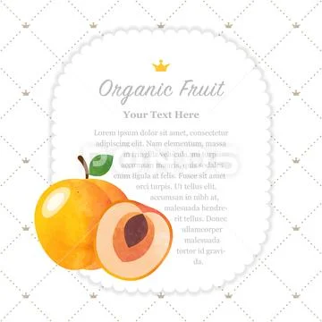 Colorful watercolor texture nature organic fruit memo frame apricot Stock Illustration