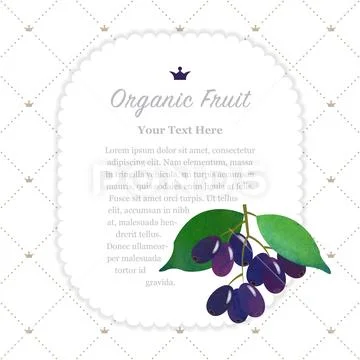 Colorful watercolor texture nature organic fruit memo frame jambolan plum Stock Illustration