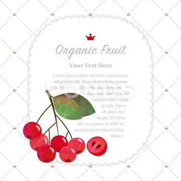 Colorful watercolor texture nature organic fruit memo frame red chokeberry ar Stock Illustration