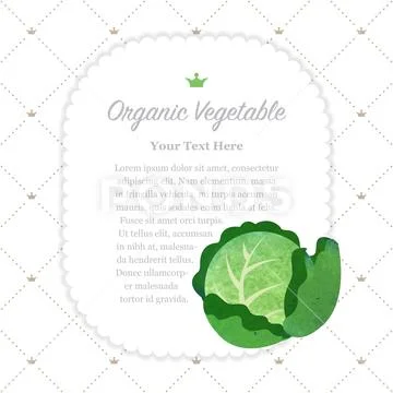 Colorful watercolor texture nature organic vegetable memo frame cabbage Stock Illustration