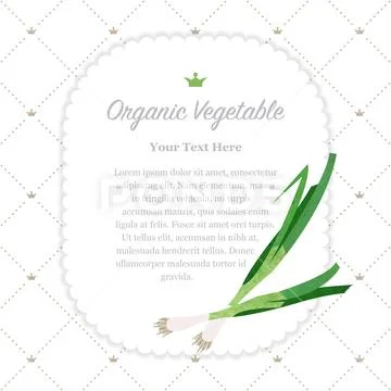 Colorful watercolor texture nature organic vegetable memo frame scallion gree Stock Illustration