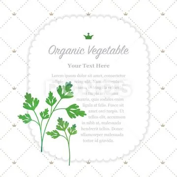Colorful watercolor texture nature organic vegetable memo frame parsley Stock Illustration