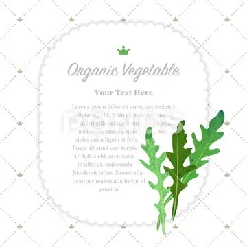 Colorful watercolor texture nature organic vegetable memo frame arugula rucco Stock Illustration