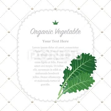 Colorful watercolor texture nature organic vegetable memo frame kale Stock Illustration