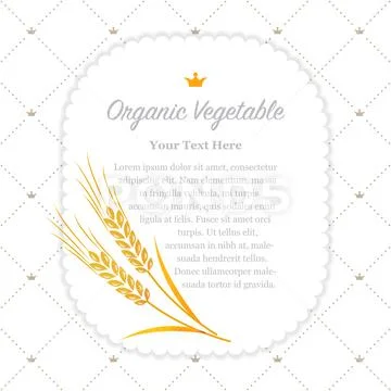 Colorful watercolor texture nature organic vegetable memo frame barley Stock Illustration