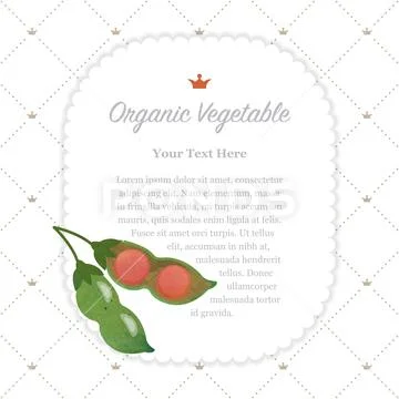 Colorful watercolor texture nature organic vegetable memo frame lentil Stock Illustration