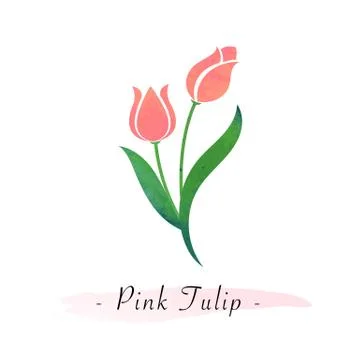 Colorful watercolor texture vector botanic garden flower pink tulip Illustrazione stock