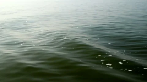 Colorful Waves On The Water Stock Footage 324810786