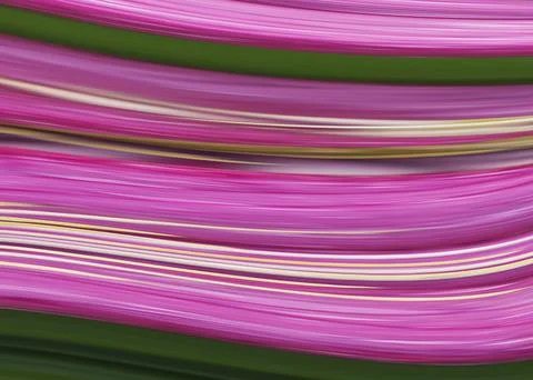 Colorful wavy pattern for backgrounds and design 11 Stock Photos