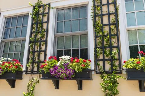Colorful Window Flower Boxes Stock Photos