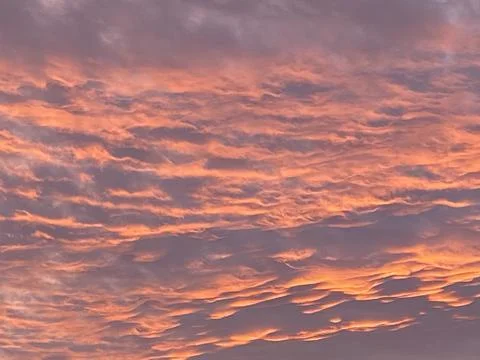 Colorful wintry sunset Stock Photos