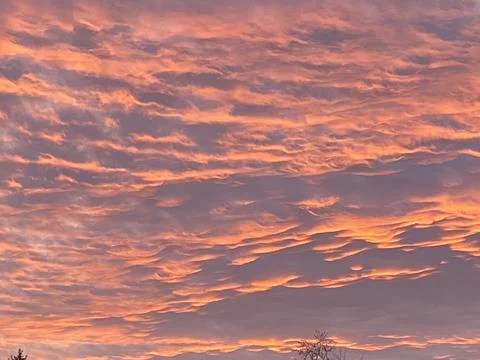 Colorful wintry sunset Stock Photos