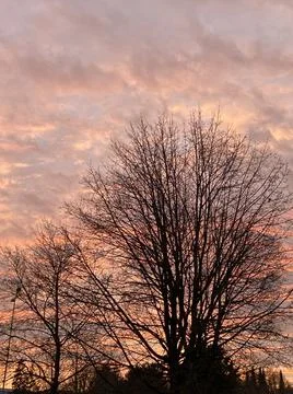 Colorful wintry sunset Stock Photos
