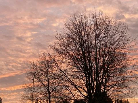 Colorful wintry sunset Stock Photos