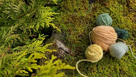 Colorful wool yarn balls moving gently in the breeze Stock Footage 342608151