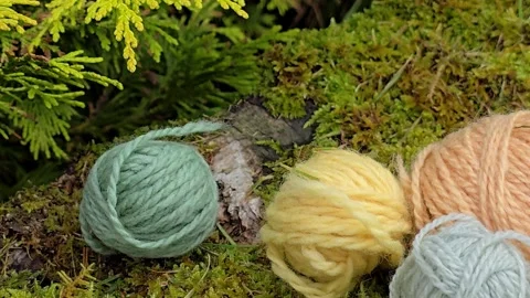 Colorful wool yarn balls moving gently in the breeze Stock Footage 342608245