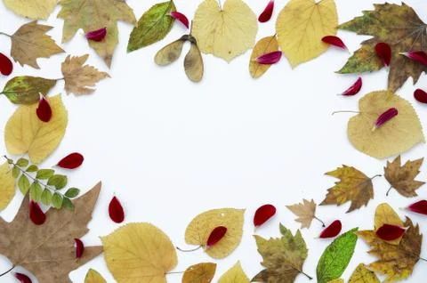 Colorfull autumn flat lay composition. Horisontal frame dry colorful leaves Stock Photos