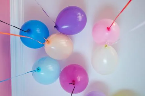 Colorfull balloons float on the white ceiling in the room for the party. Wedd Stock Photos