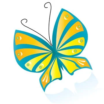 Colorfull butterfly with reflection, vector illustration Stock Illustration