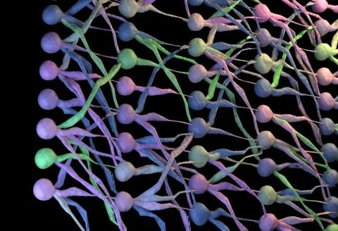 Colorfull neuronal network. neuron net. 3D Illustration Stock Illustration