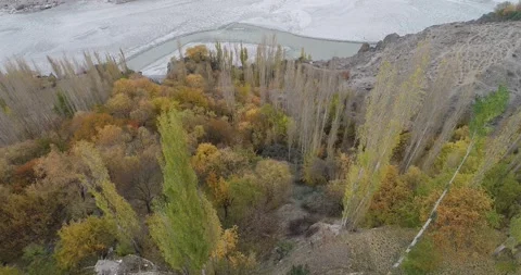 Colorfull tree shot in moutains with river aside. Stock Footage 166370209
