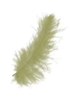Colorfully feathers background - High resolution Stock Photos