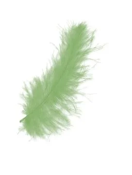 Colorfully feathers background - High resolution Stock Photos