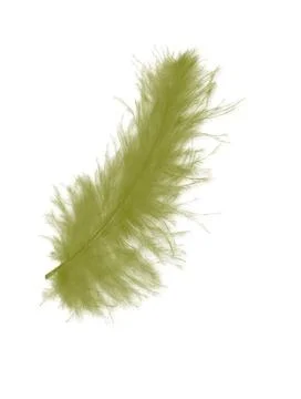 Colorfully feathers background - High resolution Stock Photos