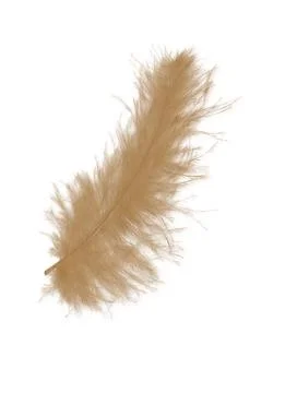 Colorfully feathers background - High resolution Foto stock