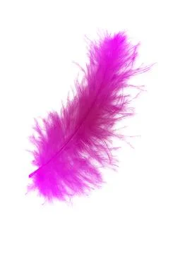Colorfully feathers background - High resolution Stock Photos