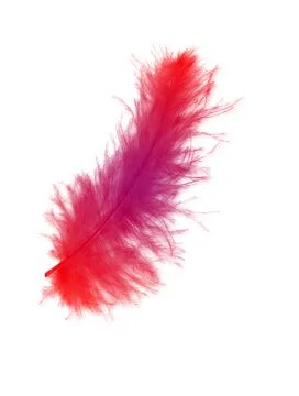 Colorfully feathers background - High resolution Stock Photos