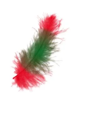 Colorfully feathers background - High resolution Stock Photos