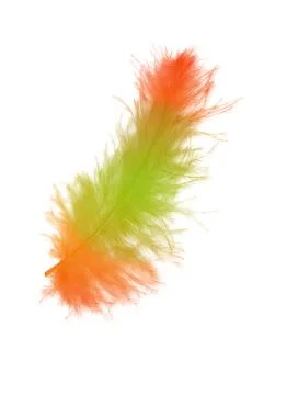 Colorfully feathers background - High resolution Stock Photos