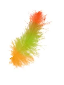 Colorfully feathers background - High resolution Stock Photos