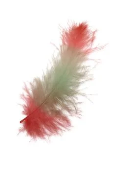 Colorfully feathers background - High resolution Foto stock