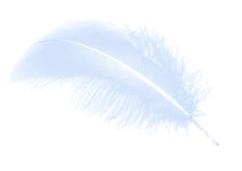 Colorfully Feathers Background - High Resolution Stock Photos