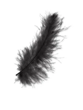 Colorfully Feathers Background - High Resolution Stock Photos