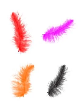 Colorfully Feathers Background - High Resolution Stock Photos