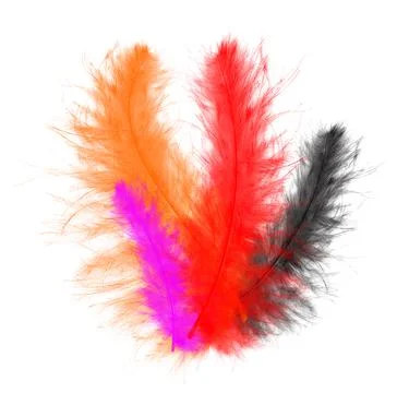 Colorfully Feathers Background - High Resolution Stock Photos