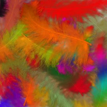 Colorfully Feathers Background - High Resolution Foto stock