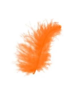 Colorfully Feathers Background - High Resolution Stock Photos
