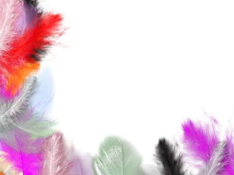 Colorfully Feathers Background - High Resolution Stock Photos