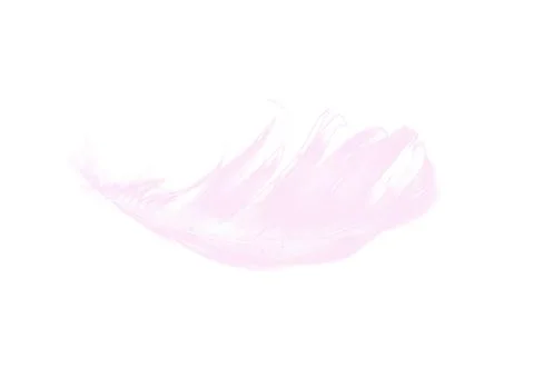 Colorfully Feathers Background - High Resolution Stock Photos