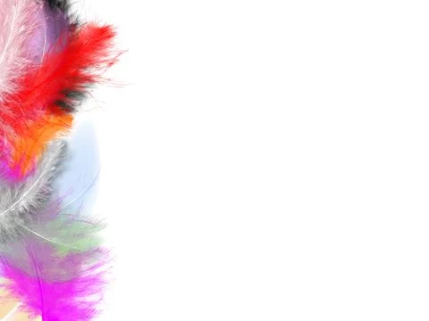 Colorfully Feathers Background - High Resolution Stock Photos