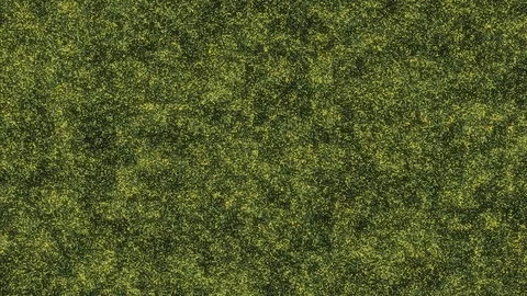 ColorfulNoise Grassy Stock Footage 126123778