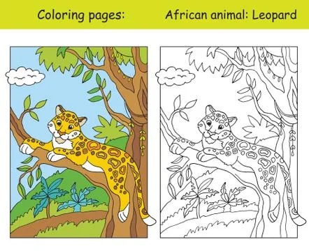 Coloring and color leopard Stock Illustration