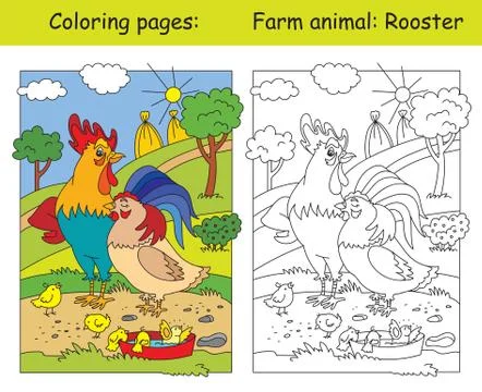 Coloring and color Rooster Illustrazione stock